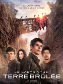 Le Labyrinthe 2 : La Terre brûlée, la critique du film