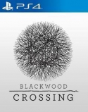 Blackwood Crossing (PC, PS4, Xbox One)