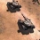 Command & Conquer: Generals 2 est développé par BioWare