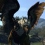 Dragon's Dogma : séquences de gameplay