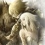 (Test) Pandora's Tower (Wii)