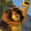 (DVD/Blu-ray) Madagascar 2