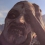 Dying Light vous fait courir pour votre vie