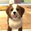 PlayStation Vita Pets pour début juin