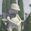 Human: Fall Flat, un jeu qui tombe à plat ?