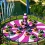 Planet Coaster : Créez votre propre parc d'attractions