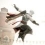 Ubisoft officialise Assassin's Creed II : Discovery sur DS