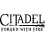 Citadel: Forged With Fire, un jeu de sorcellerie multijoueur