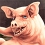 Pig Skater Simulator : Tony Hawk est un gros cochon