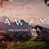 AWAY : The Survival Series est maintenant disponible