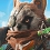 Biomutant arrive sur PS5 et Xbox Series