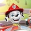 PAW Patrol, la Pat’ Patrouille : Grand Prix, un nouveau jeu sur PC et consoles