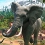 Planet Zoo: Console Edition annoncé pour fin mars