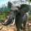 Planet Zoo: Console Edition dévoile une vidéo de gameplay