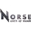 NORSE: Oath of Blood, un jeu tactique au pays des Vikings