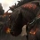 THQ confirme le développement de Darksiders 2