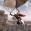 Assassin's Creed Brotherhood : de l'art et du cochon