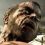 Dead Island, des infos et des images