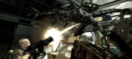 Du DLC pour Aliens Vs Predator peu après sa sortie