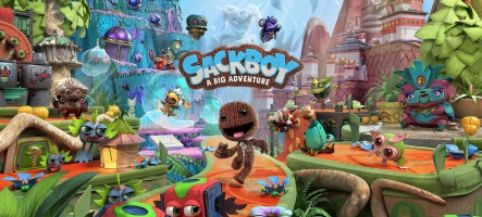 Sackboy : A Big Adventure (PS4, PS5)