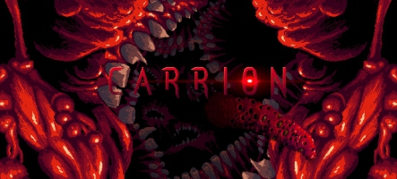 (TEST) Carrion (PC, Xbox One, Switch)