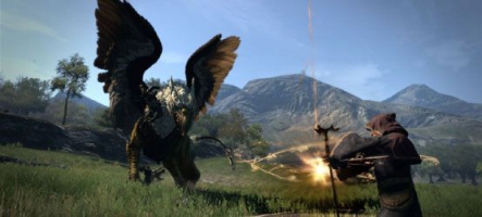 Dragon's Dogma est toujours le plus beau jeu vidéo du monde