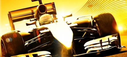 F1 2014 (PC, PS3, Xbox 360)