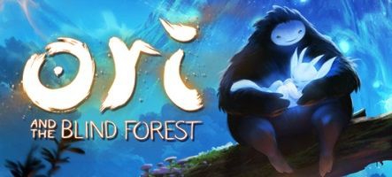 Ori and the Blind Forest (Xbox One, PC)