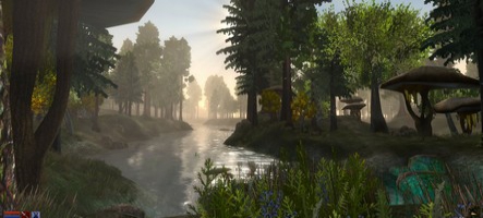 Cure de jouvence pour The Elder Scrolls III : Morrowind