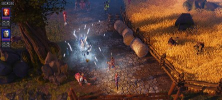 Divinity : Original Sin déploie ses couleurs