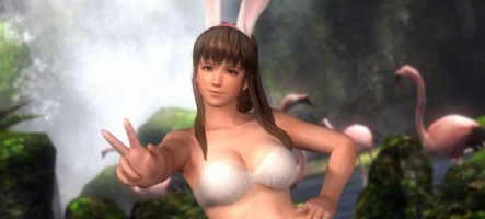 Dead or Alive 5 Plus annoncé sur PS Vita