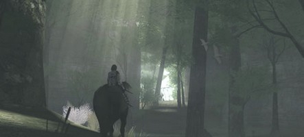 Le film Shadow of the Colossus patauge toujours