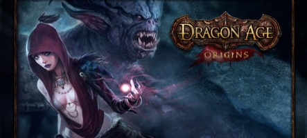 Une toute nouvelle aventure pour Dragon Age : Origins