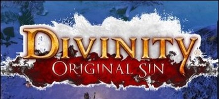 Divinity : Original Sin, preview d'un jeu Kicstarter très prometteur