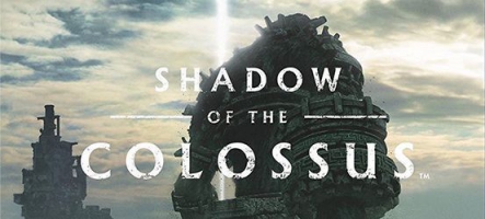 Shadow of the Colossus (PS4)