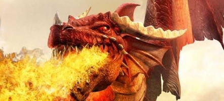 [MAJ] Dungeons and Dragons Online devient gratuit