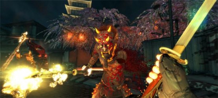 Shadow Warrior, ça vous parle ?