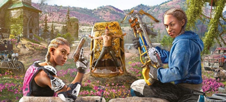 Far Cry New Dawn  (PC, PS4, Xbox One)