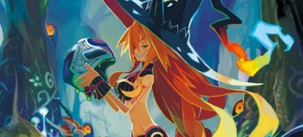 Double Fine annonce Hack 'n' Slash en 2014