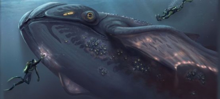 Subnautica : vous allez être tout mouillé