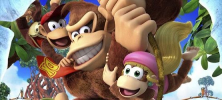 (Test) Donkey Kong Country : Tropical Freeze (Wii U)