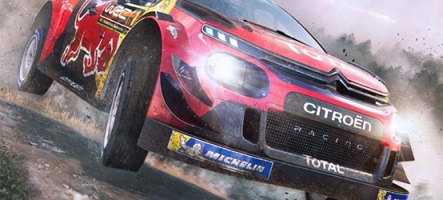 WRC 8 (PS4, Switch, Xbox One, PC)