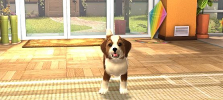 PlayStation Vita Pets pour début juin