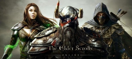 The Elder Scrolls Online : Bethesda bannit des dizaines de comptes par erreur