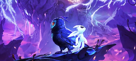 Ori and the Will of the Wisps (PC, Xbox One)