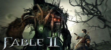 Solde sur l'add-on de Fable II : L'Ile de Knothole