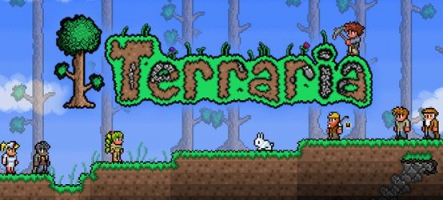 Terraria annoncé sur PS4 et Xbox One