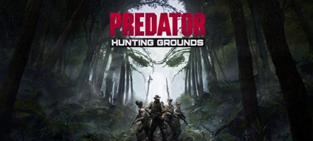 Predator : Hunting Grounds (PC, PS4)