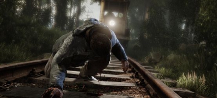 The Vanishing of Ethan Carter : Impressionnant ?