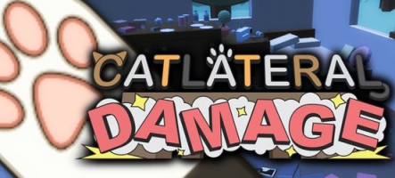 Catlateral Damage : Un simulateur de chat pour foutre le bordel